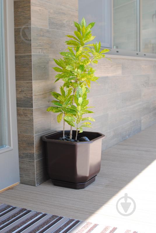 УЦІНКА! Горщик пластиковий Алеана Дама з підставкою 8,0x8,0 см квадратний 0,28 л білий (УЦ №78) - фото 2 УЦІНКА! Горщик пластиковий Алеана Дама з підставкою 8,0x8,0 см квадратний 0,28 л білий (УЦ №78) - фото 2