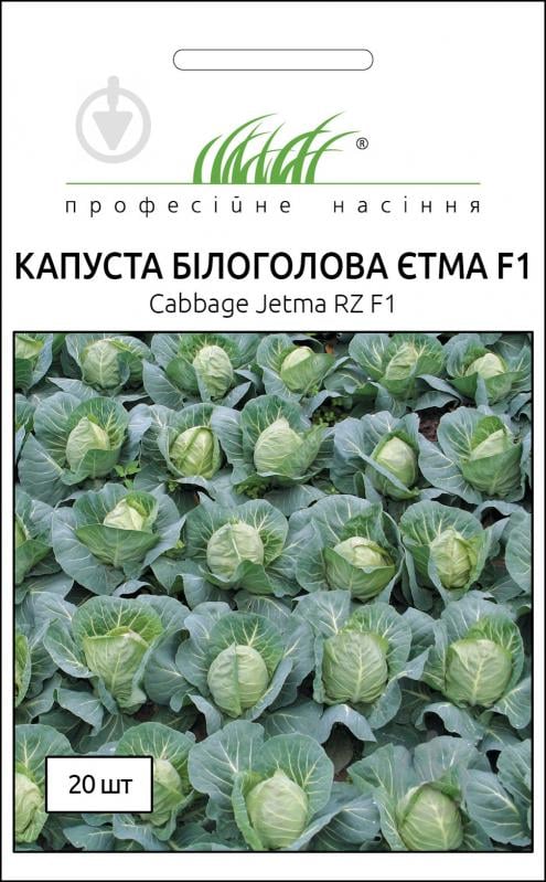 Насіння Професійне насіння капуста білоголова Етма F1 20 шт. - фото 1