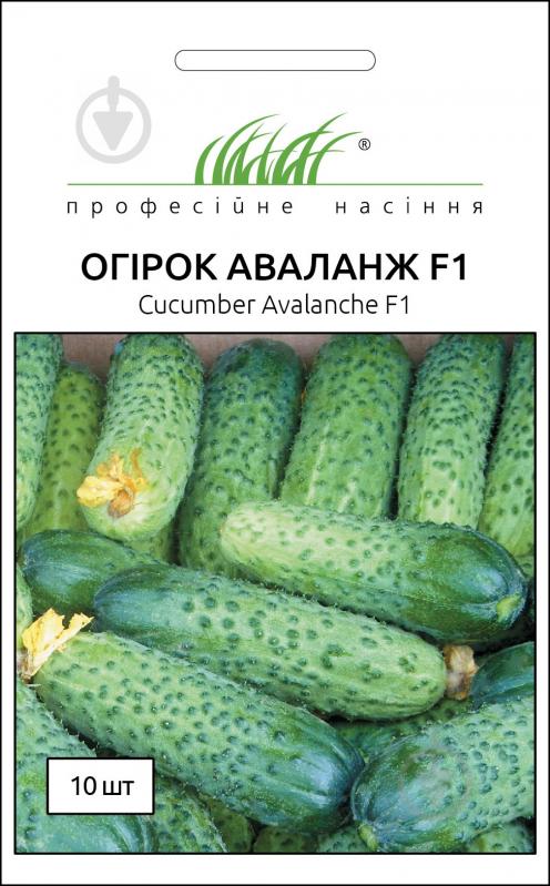 Насіння Професійне насіння огірок самозапильний Аваланж (Авелла) F1 10 шт. - фото 1