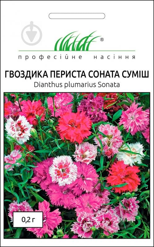 Насіння Професійне насіння гвоздика Соната суміш 0,2 г - фото 1