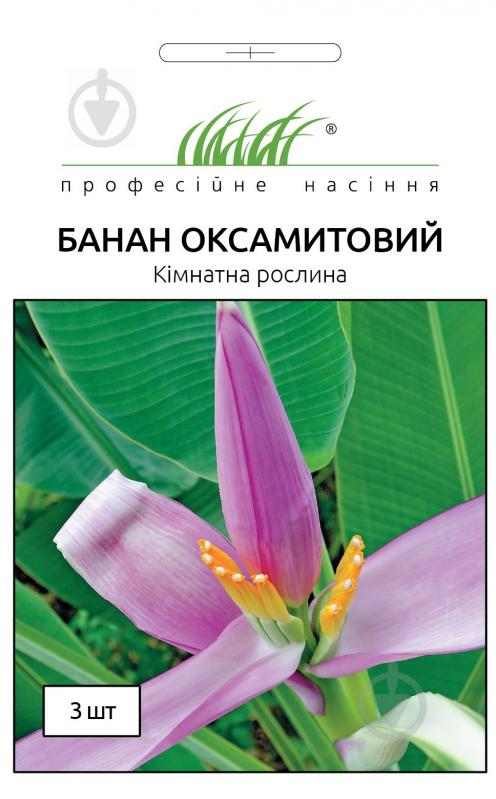 Семена Професійне насіння банан комнатный бархатный 3 шт. (4823058200408) - фото 1