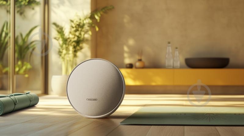 Акустическая система Harman/Kardon Onyx Studio 9 2.0 grey (HKOS9GRYEP) - фото 11