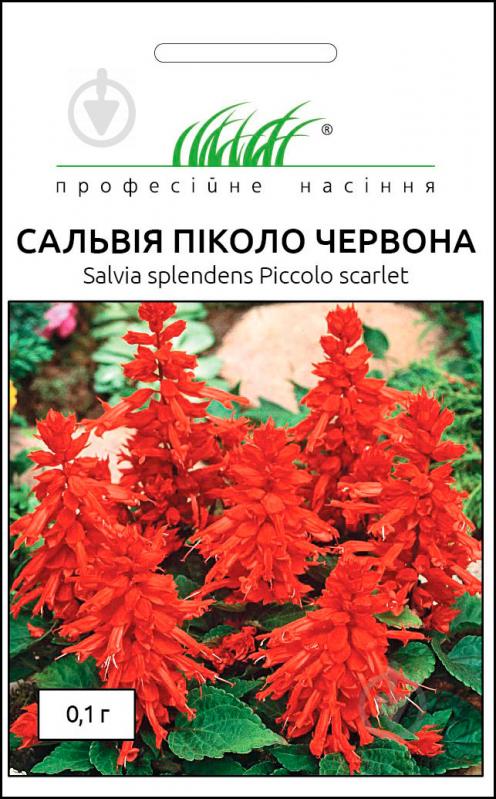 Насіння Професійне насіння сальвія Піколо червона 0,1 г - фото 1