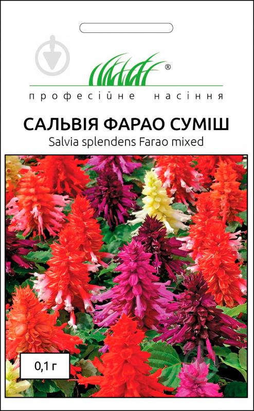 Насіння Професійне насіння сальвія Фарао суміш 0,1 г - фото 1