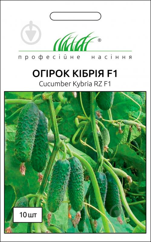 Огурцы кибрия отзывы фото. Огурец Кибрия f1. Огурец Кибрия семена. Семена огурцов Кибрия f1 10 шт. Семена огурец "Кибрия f1" 5 шт (10) "Тимирязевский питомник".