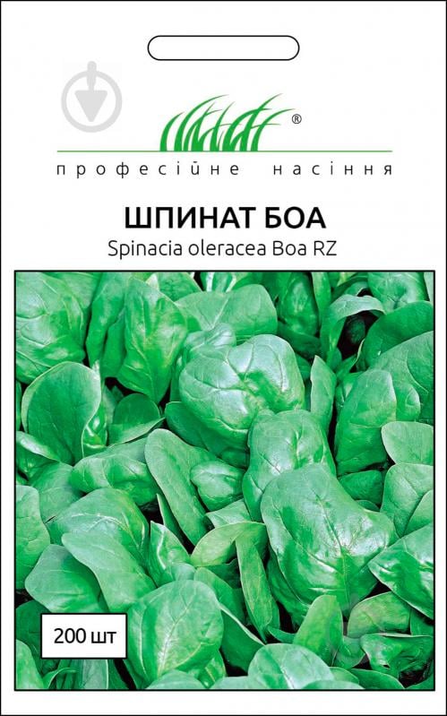 Семена Професійне насіння шпинат Боа 3 г - фото 1