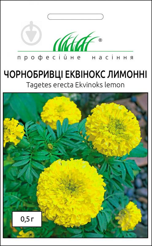 Семена Професійне насіння бархатцы Эквинокс лимонные 0,5 г - фото 1