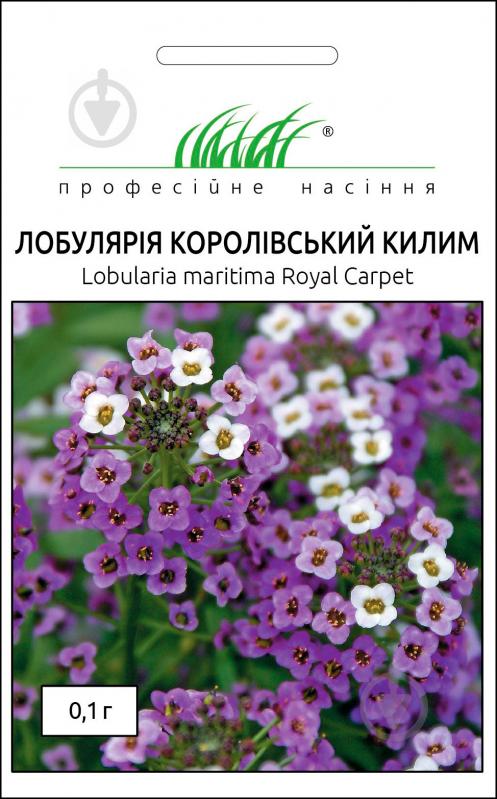 Семена Професійне насіння алиссум Королевский ковер смесь 0,1 г - фото 1