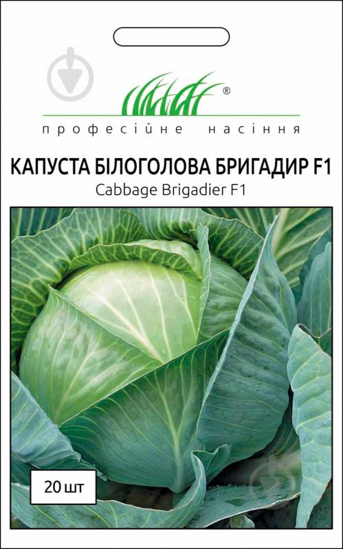 Насіння Професійне насіння капуста білоголова Бригадир F1 20 шт. - фото 1