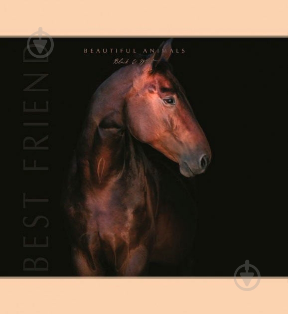 Блокнот Конь 1NB822 Аркуш - фото 1