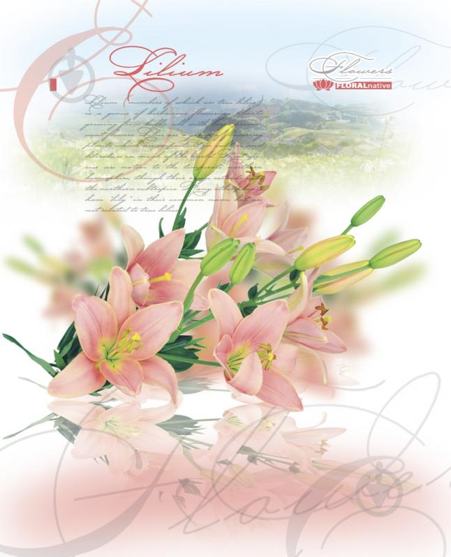 Блокнот 1В838 Аркуш - фото 1