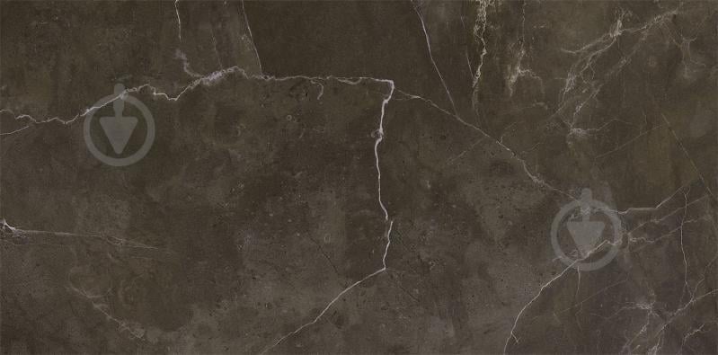 Плитка Cersanit Teneza brown glossy 29,7x60 см - фото 3