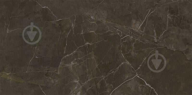 Плитка Cersanit Teneza brown glossy 29,7x60 см - фото 4
