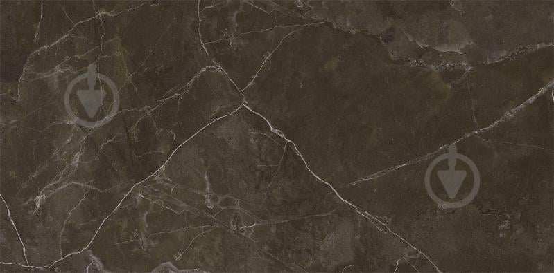 Плитка Cersanit Teneza brown glossy 29,7x60 см - фото 6