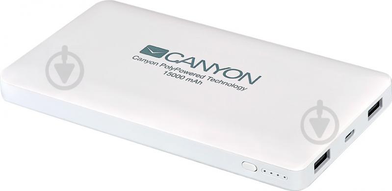 Повербанк Canyon 15000 mAh (CNS-TPBP15W) - фото 2