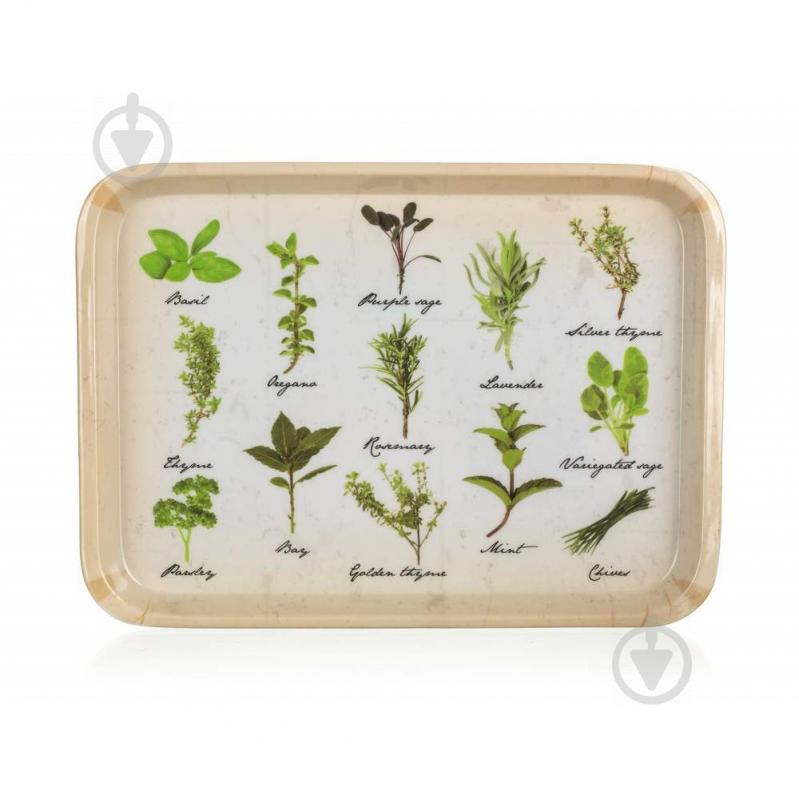 Таця Herbs 30x21,5 см Banquet - фото 1