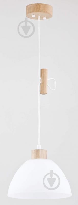 Підвіс ALFA Holiday 1x60 Вт E27 білий 60348 - фото 1