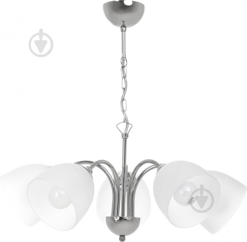 Люстра ALFA Tora 5x40 Вт E27 хром 21255 - фото 1