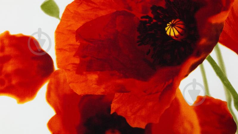 Комплект постельного белья Fashion Poppy семейный разноцветный La Nuit - фото 2