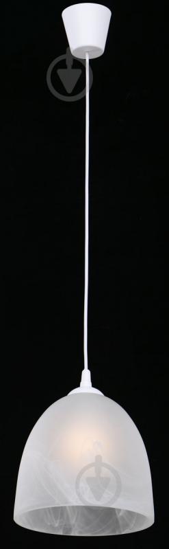 Подвес TK Lighting Neo 1x60 Вт E27 белый 1754 - фото 2