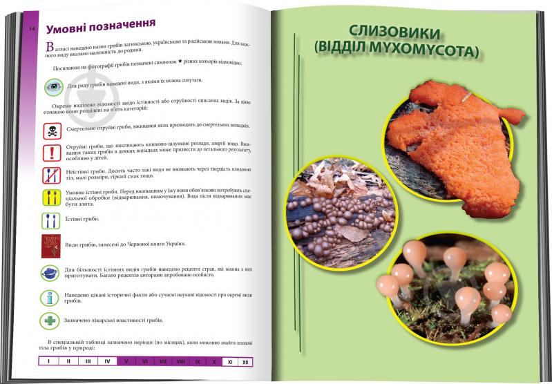 Книга Марина Сухомлин «Гриби України. Атлас-довідник, 2-е видання» 978-617-7489-52-7 - фото 3