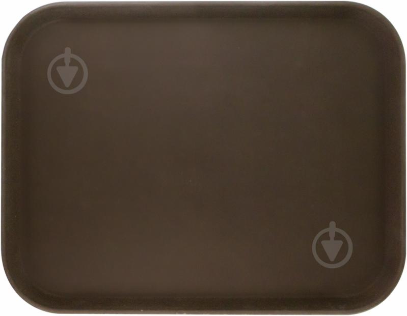 Поднос прямокутна 25x35,5 см - фото 1