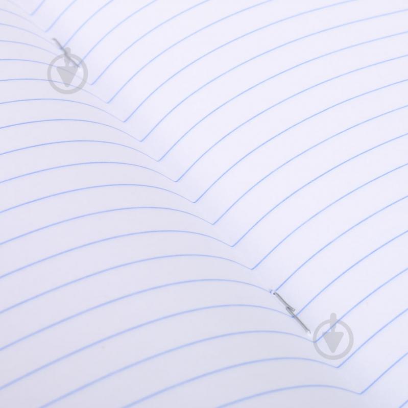 Тетрадь школьная 18 листов в линию Panda - фото 5 Тетрадь школьная 18 листов в линию Panda - фото 5