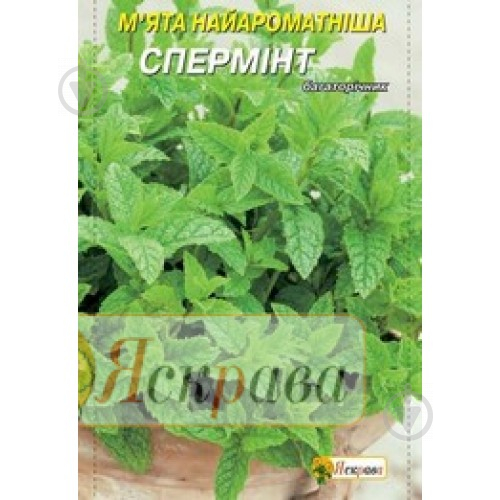 Насіння Яскрава м'ята лікарська Найроматніша Спермінт 0,05 г (4823069812911) - фото 1