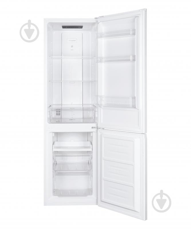 Холодильник Candy CCH1T518FW - фото 4