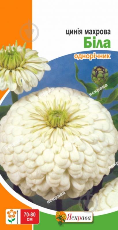 Семена Яскрава цинния махровая белая 0,5 г - фото 1