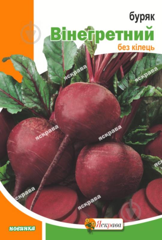 Насіння Яскрава буряк Вінегретний столовий 20 г (4823069861827) - фото 1