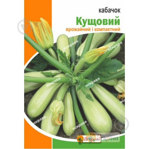 Насіння Яскрава кабачок Кущовий 20 г (4823069912536) - фото 1