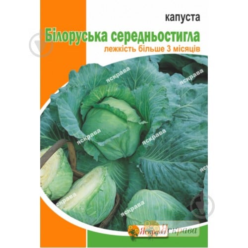 Насіння Яскрава капуста білоголова Білоруська середньостигла 10 г (4823069912499) - фото 1