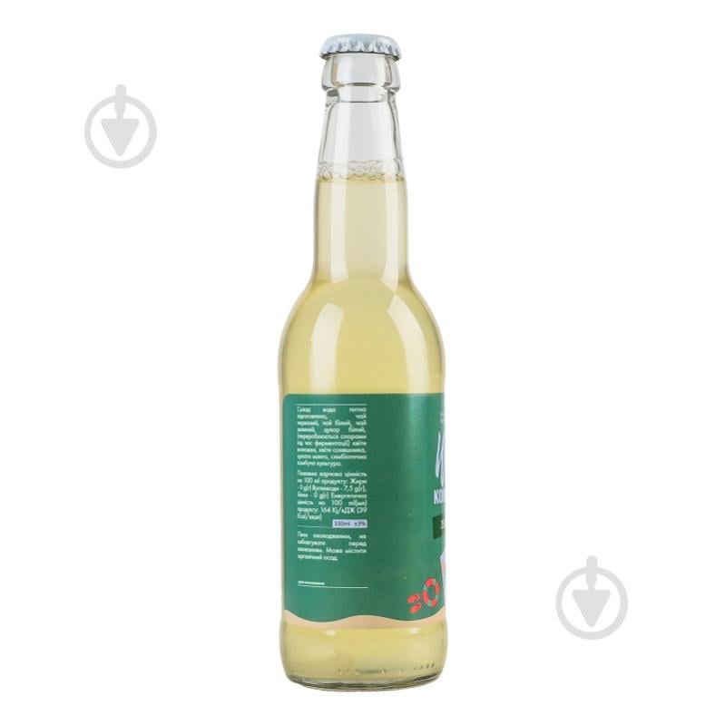 Комбуча Kombucha Wild Зелений чай 0,33 л - фото 2