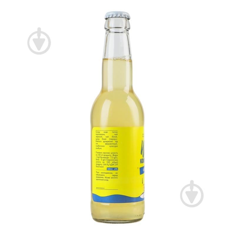 Комбуча Kombucha Wild Классическая 0,33 л - фото 3