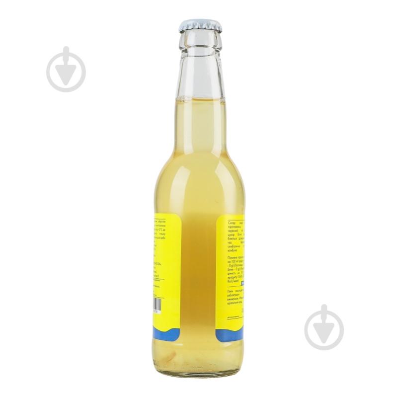 Комбуча Kombucha Wild Классическая 0,33 л - фото 5
