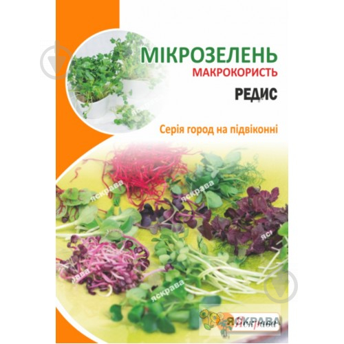 Насіння Яскрава редиска Мікрозелень 10 г (4823069912789) - фото 1