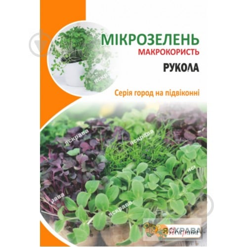 Насіння Яскрава рукола Мікрозелень 10 г (4823069912826) - фото 1