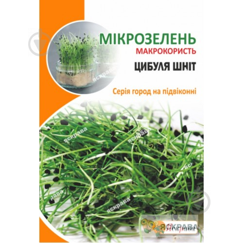 Насіння Яскрава цибуля-шніт Мікрозелень 10 г (4823069912802) - фото 1