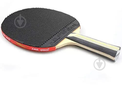 Ракетка для настольного тенниса DHS R3003 - фото 1