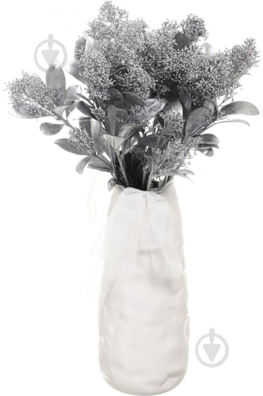 Скиммия серебряная (Нидерланды) - фото 3