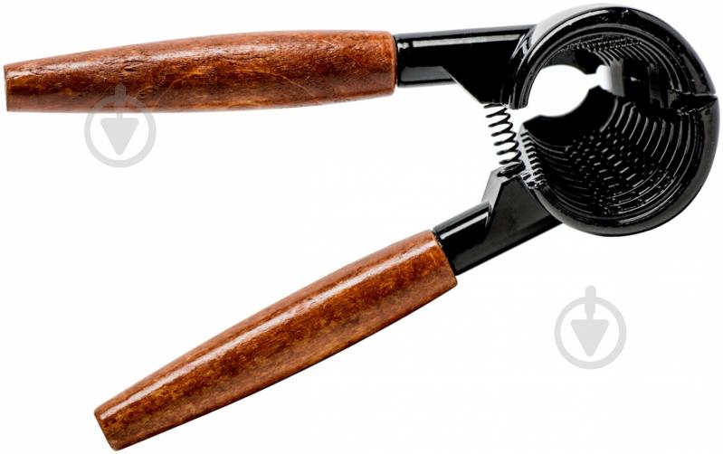 Орехокол чёрный - фото 2