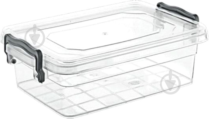 Контейнер харчовий Violet House 0461 Family Box 1 л - фото 1