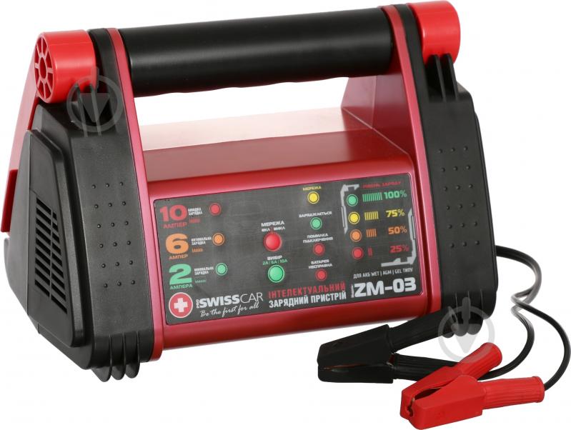 Зарядное устройство инверторное Proswisscar ZM-03 6 А 120 А/год (1497) - фото 4