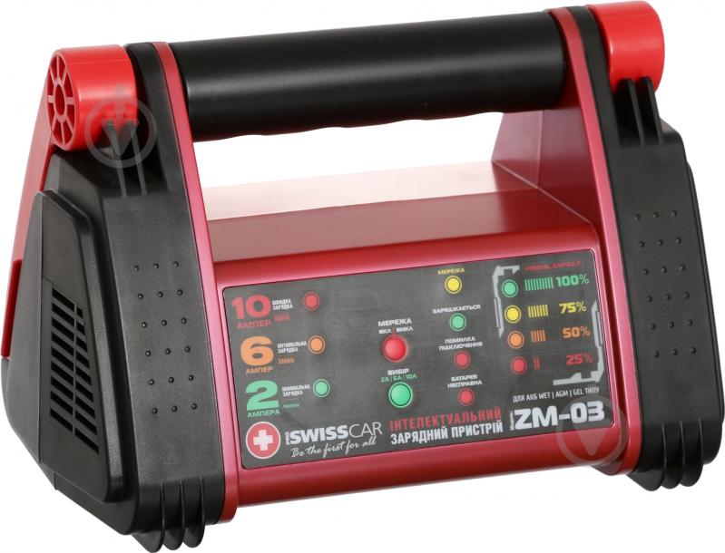 Зарядное устройство инверторное Proswisscar ZM-03 6 А 120 А/год (1497) - фото 1