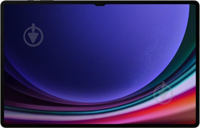 Планшет Samsung Galaxy Tab S9 Ultra 5G 12/512GB Graphite (SM-X916BZAESEK) - фото 2