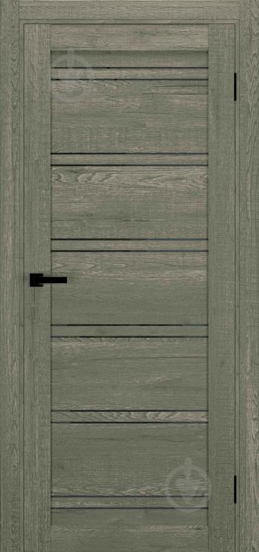 Дверное полотно Термінус UD-20 800 мм дуб вулканический - фото 1