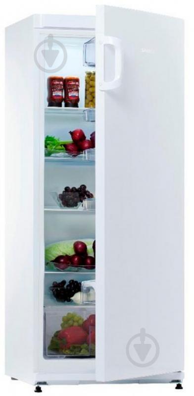 Холодильник Snaige C29SM-T1002F - фото 1