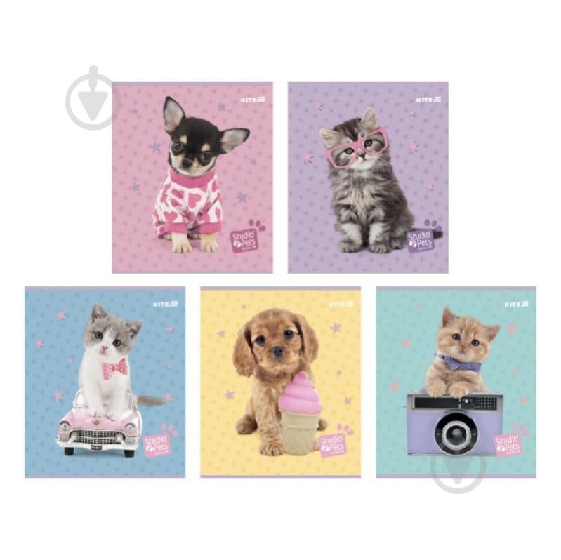 Тетрадь школьная 24 лист. клетка Studio Pets SP25-238 KITE - фото 1 Тетрадь школьная 24 лист. клетка Studio Pets SP25-238 KITE - фото 1