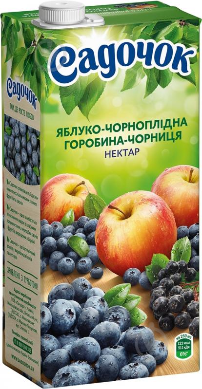 Сік Садочок Яблуко-чорноплідна горобина та чорниця 0,95л (4823063114257) - фото 1